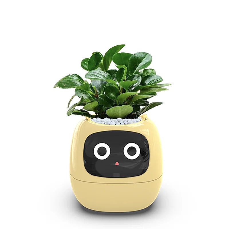 Ivy Smart Pet Planter – AI Companion That Cares for Your Plants - MNT