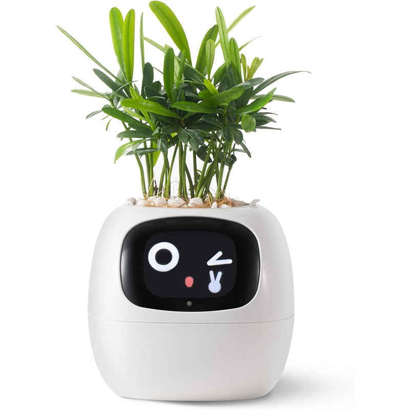 Ivy Smart Pet Planter – AI Companion That Cares for Your Plants - MNT