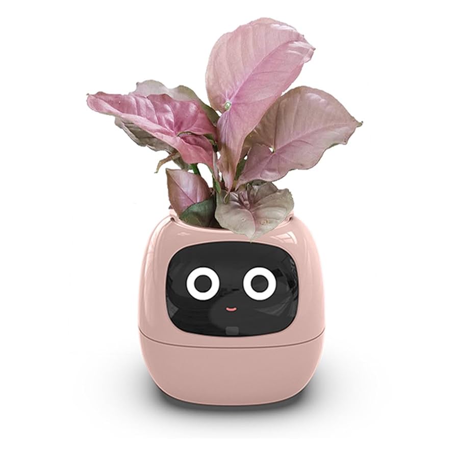 Ivy Smart Pet Planter – AI Companion That Cares for Your Plants - MNT
