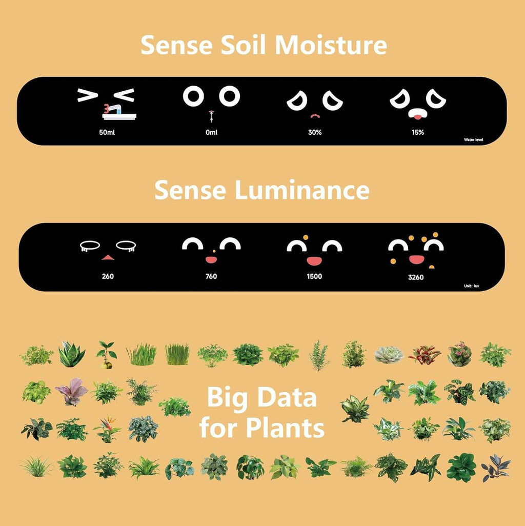 Ivy Smart Pet Planter – AI Companion That Cares for Your Plants - MNT