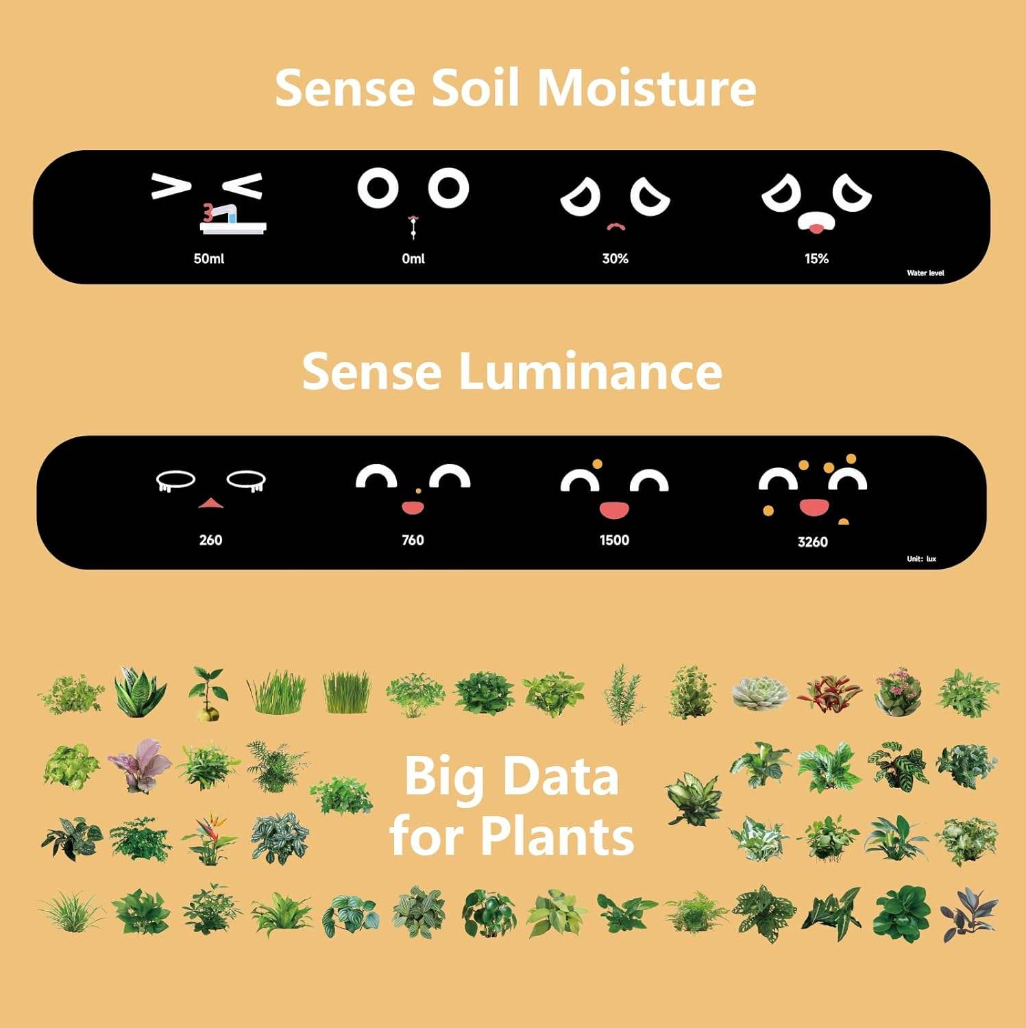Ivy Smart Pet Planter – AI Companion That Cares for Your Plants - MNT